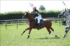 UKPA NC SAT_2237